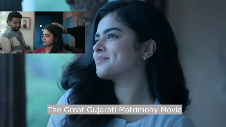 The Great Gujarati Matrimony Movie